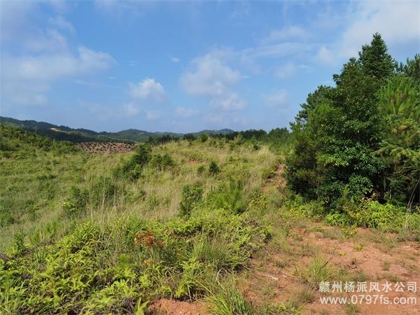 澳门新城区带着徒弟上山学杨公风水现场操作